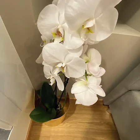 De Vince - Luxury - Termini Gasthof Rom